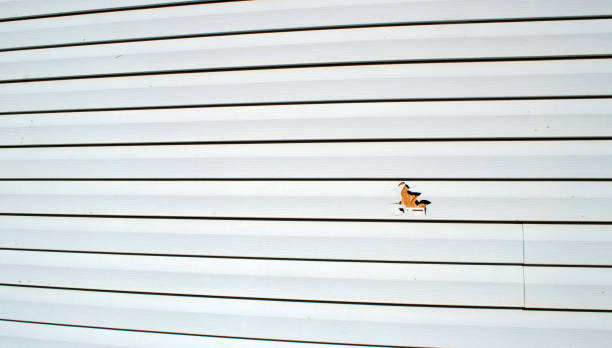 Best Aluminum Siding Installation  in Sewell, NJ