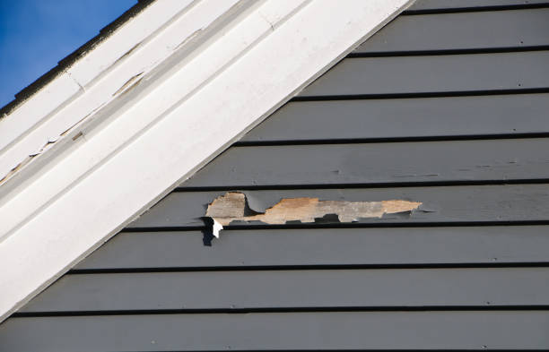 Best Stone Veneer Siding  in Sewell, NJ